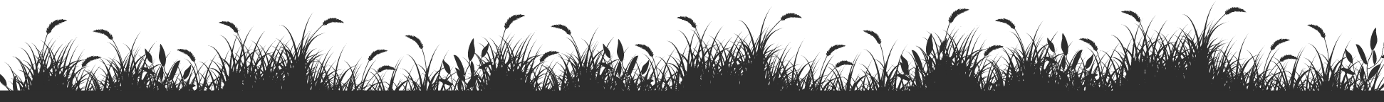 Grass Image